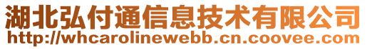 湖北弘付通信息技術(shù)有限公司