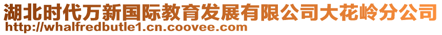 湖北時代萬新國際教育發(fā)展有限公司大花嶺分公司