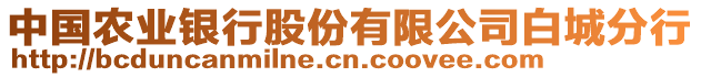 中國農(nóng)業(yè)銀行股份有限公司白城分行