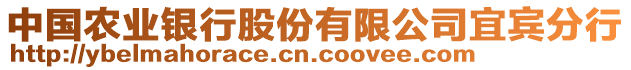 中國農業(yè)銀行股份有限公司宜賓分行