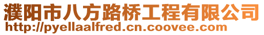 濮陽市八方路橋工程有限公司