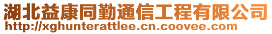 湖北益康同勤通信工程有限公司