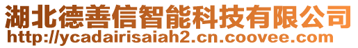 湖北德善信智能科技有限公司