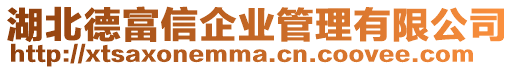 湖北德富信企業(yè)管理有限公司