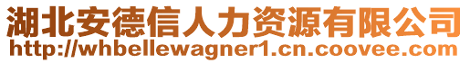 湖北安德信人力資源有限公司