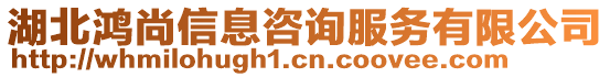 湖北鴻尚信息咨詢服務有限公司