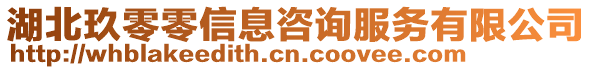 湖北玖零零信息咨詢服務(wù)有限公司