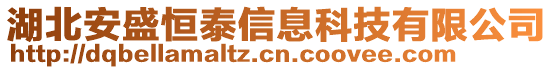 湖北安盛恒泰信息科技有限公司