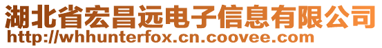 湖北省宏昌遠電子信息有限公司