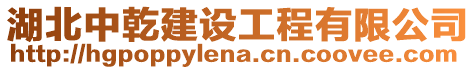 湖北中乾建設工程有限公司