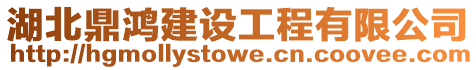 湖北鼎鴻建設工程有限公司