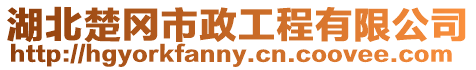 湖北楚岡市政工程有限公司