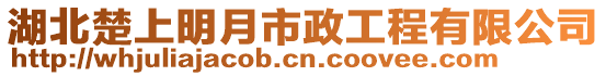 湖北楚上明月市政工程有限公司