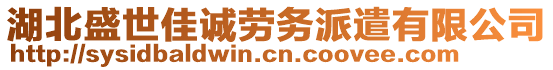 湖北盛世佳誠勞務(wù)派遣有限公司