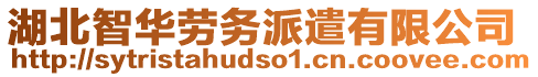 湖北智華勞務派遣有限公司