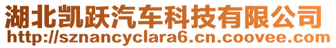 湖北凱躍汽車科技有限公司