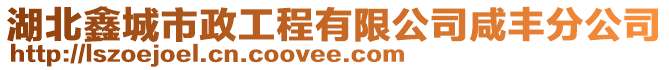 湖北鑫城市政工程有限公司咸豐分公司