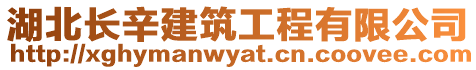 湖北長辛建筑工程有限公司