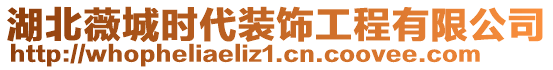 湖北薇城時代裝飾工程有限公司