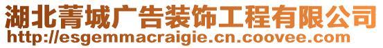 湖北菁城廣告裝飾工程有限公司