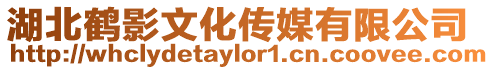 湖北鶴影文化傳媒有限公司