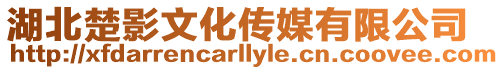 湖北楚影文化傳媒有限公司