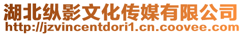 湖北縱影文化傳媒有限公司