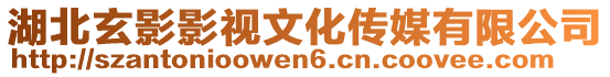 湖北玄影影視文化傳媒有限公司