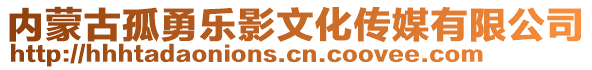 內(nèi)蒙古孤勇樂(lè)影文化傳媒有限公司