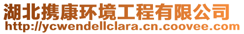 湖北攜康環(huán)境工程有限公司