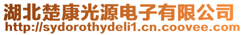 湖北楚康光源电子有限公司