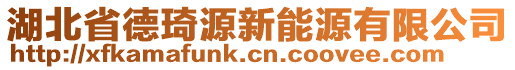 湖北省德琦源新能源有限公司