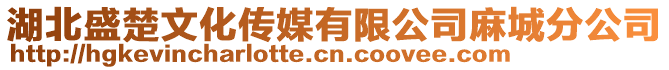 湖北盛楚文化傳媒有限公司麻城分公司