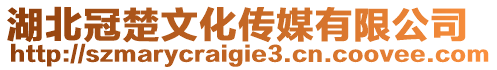 湖北冠楚文化傳媒有限公司