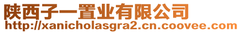 陜西子一置業(yè)有限公司