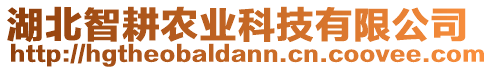 湖北智耕農(nóng)業(yè)科技有限公司