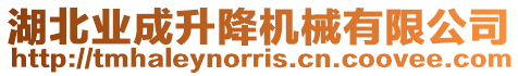 湖北業成升降機械有限公司