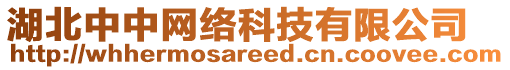 湖北中中網(wǎng)絡(luò)科技有限公司