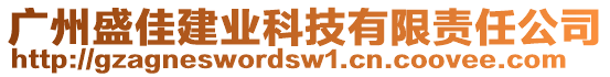 广州盛佳建业科技有限责任公司