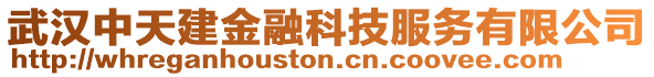 武漢中天建金融科技服務(wù)有限公司