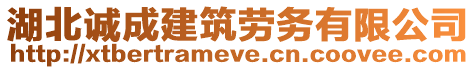 湖北誠成建筑勞務(wù)有限公司