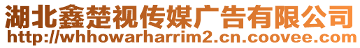 湖北鑫楚視傳媒廣告有限公司