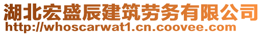 湖北宏盛辰建筑勞務有限公司