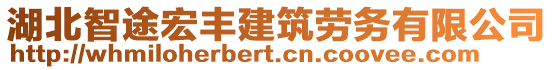 湖北智途宏豐建筑勞務(wù)有限公司