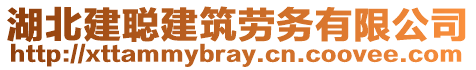 湖北建聰建筑勞務(wù)有限公司