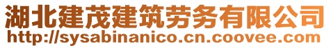 湖北建茂建筑勞務(wù)有限公司
