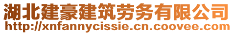 湖北建豪建筑勞務有限公司