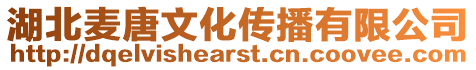 湖北麥唐文化傳播有限公司