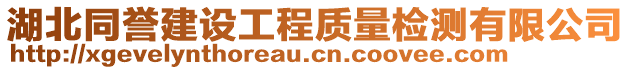 湖北同譽建設(shè)工程質(zhì)量檢測有限公司