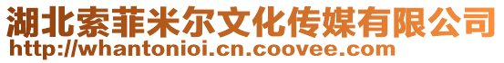 湖北索菲米爾文化傳媒有限公司